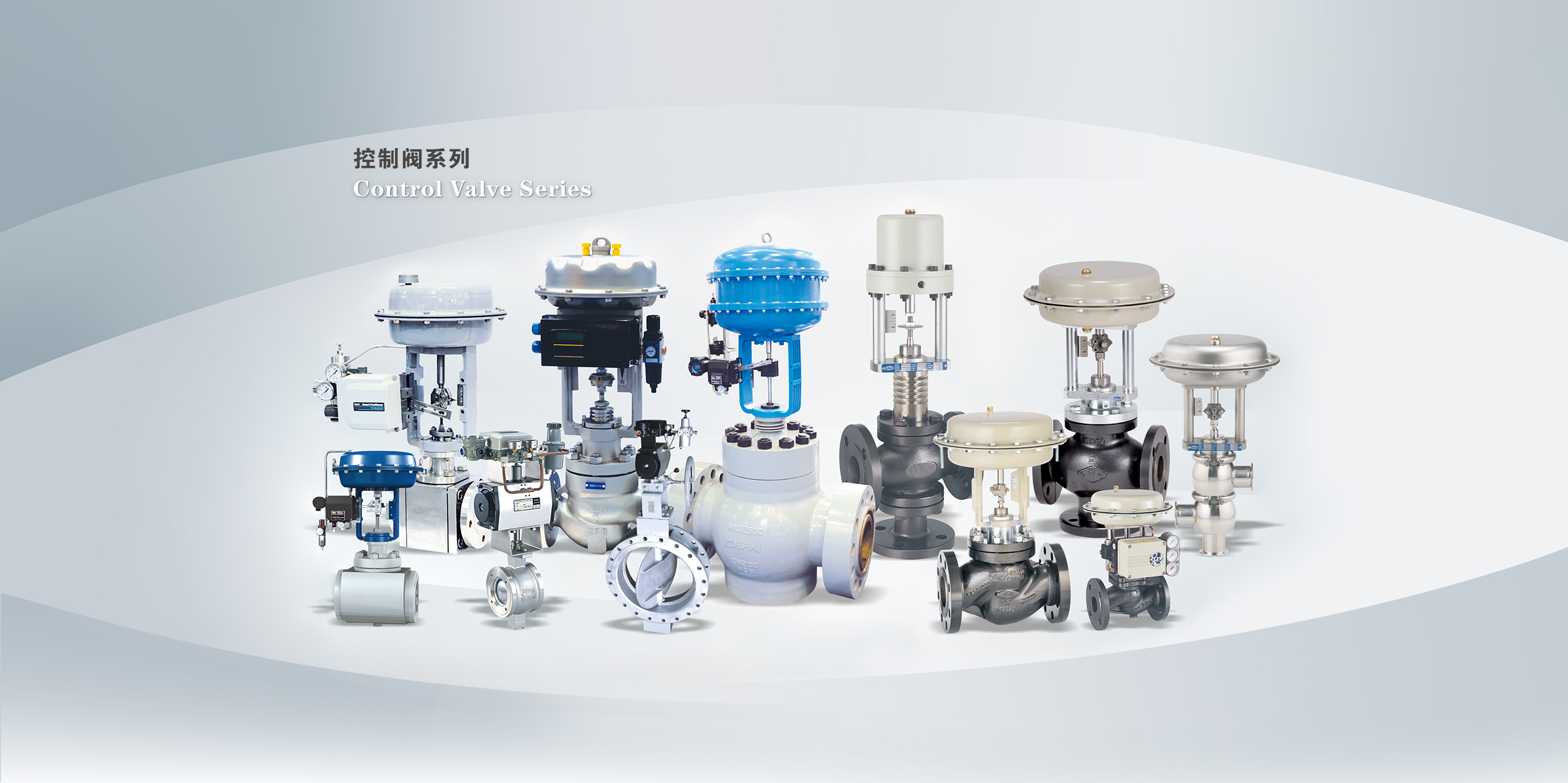 Control Valves